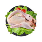 Vịt Cỏ Làm Sạch – Hàng Tươi Ngon Tự Nhiên