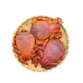 Cua huỳnh đế đông lạnh Size 700-900 gr/con