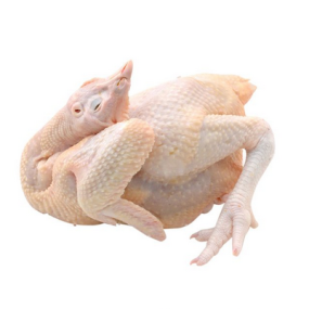Gà Thả Vườn