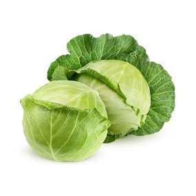 Bắp cải trắng