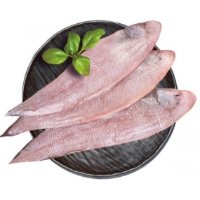 Cá Bơn (Cá Lưỡi Trâu) Tươi Ngon Giá Sỉ