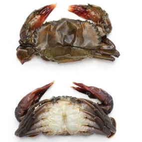  Cua Lột Tươi Sống Size 7–8 Con/Kg