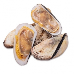 Sò Dẹo Tươi Sống Loại 1