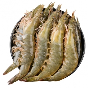 Tôm thẻ nguyên con Size 25-30 con/kg