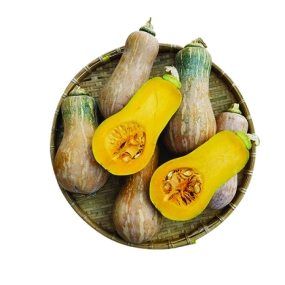 Bí đỏ hồ lô