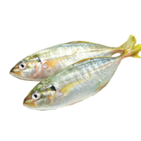 Cá bạc má tươi Size 7-8 con/kg