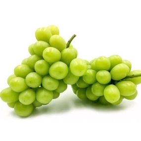 Nho mẫu đơn nội địa Trung
