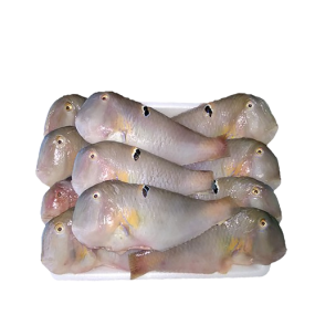 Cá mó tươi (cá lưỡi mèo) Size 8-10 con/kg