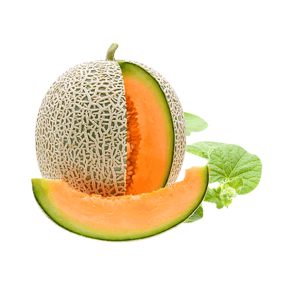 Dưa lưới 