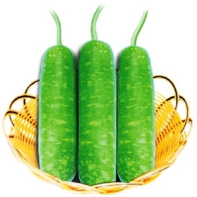 Bầu sao
