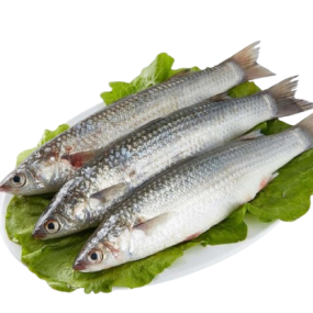  Cá Đối Tươi Sống Loại 1 – Size 400–600gr/Con
