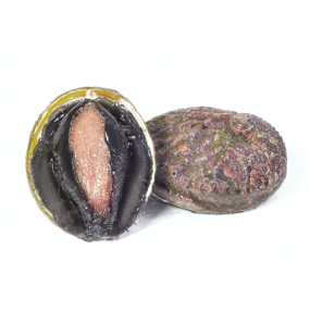 Bào ngư Úc viền đen Size 2-3 con/kg