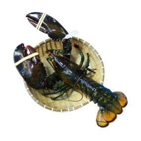 Tôm Hùm Alaska Tươi Sống Nhập Khẩu 