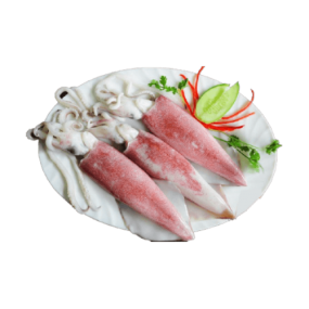 Mực Ống Tươi Sống Size 9–12 Con/Kg