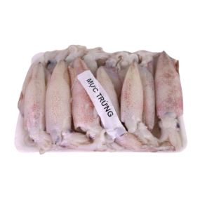 Mực Trứng Tươi Sống Size 15–20 Con/Kg