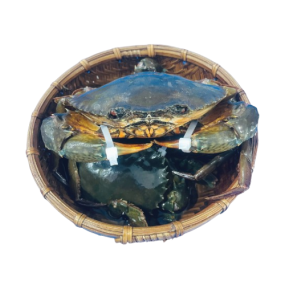 Cua Gạch Tươi Sống Size 200–300gr/Con