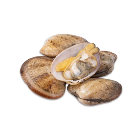  Ngao Hai Cồi Tươi Ngon Loại 1 