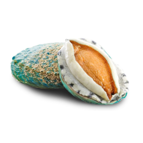 Bào Ngư Xanh Tươi Ngon Loại 1