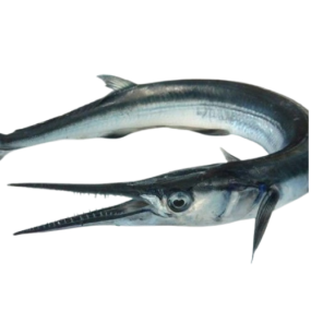 Cá Xương Xanh Tươi Sống Giá Sỉ