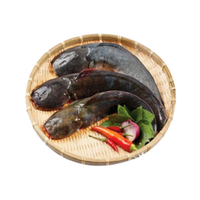Cá Trê Đen Làm Sạch Loại 1 – Size 3–4 Con/Kg