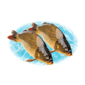 Cá Chép Giòn Làm Sạch Tươi Ngon Loại 1