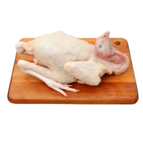 Gà Tre Thịt Tươi Làm Sạch – Size 0.8–1.1kg/Con