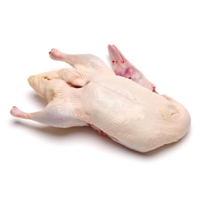 Vịt Trời Làm Sạch Tươi Ngon Loại 1 