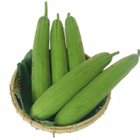 Mướp hương