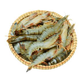 Tôm thẻ sống Size 50-60 con/kg