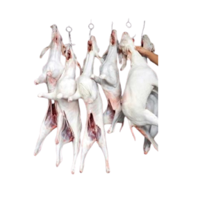  Dê Nguyên Con Móc Hàm Làm Sạch