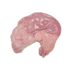 Bao Tử Heo Đông Lạnh Nhập Khẩu