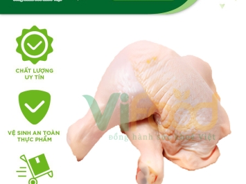 Lò mổ gà vịt giá sỉ tại Tân Phú