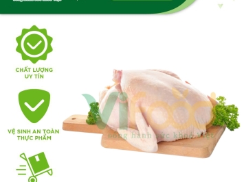 Lò mổ gà vịt giá sỉ tại Nhơn Trạch