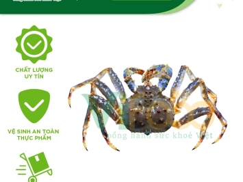 Cung cấp Hải sản đông lạnh giá sỉ tại Quận 3