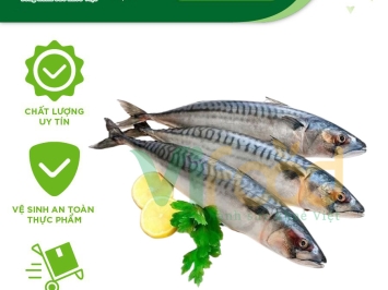 Cung cấp Hải sản đông lạnh giá sỉ tại Huyện Bắc Tân Uyên