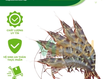 Cung cấp Hải sản đông lạnh giá sỉ tại Huyện Dầu Tiếng