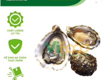 Siêu Thị Sỉ Hải Sản Đông Lạnh Phường Nghĩa Đô Hà Nội