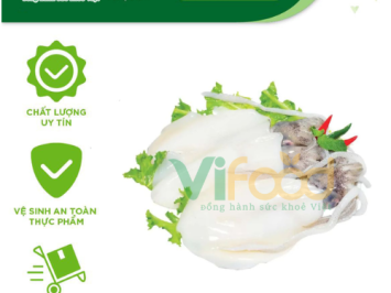 Chuyên Sỉ Hải Sản Đông Lạnh Quận 9