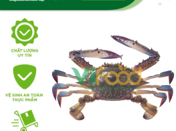 Chuyên Cung Cấp Hải Sản Tươi Sống Tại Phường Hoàng Mai – Hà Nội