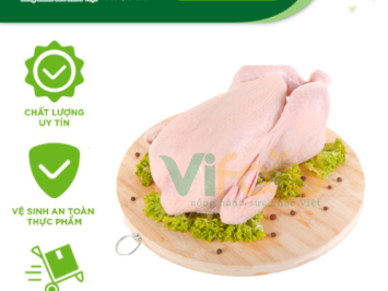 Chuyên Sỉ Thịt Gà Tươi Tại Phường Ba Đình Hà Nội