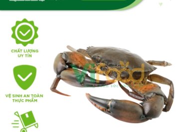 Nhà Cung Cấp Sỉ Hải Sản Đông Lạnh Phường Kim Liên – Hà Nội