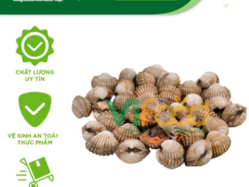 Cung Cấp Hải Sản Tươi Sống Giá Sỉ Tại Phường Ba Đình Hà Nội