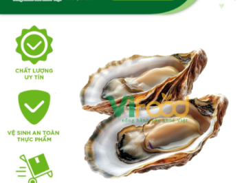 Cung Cấp Sỉ Hải Sản Đông Lạnh Phường Bồ Đề Hà Nội 