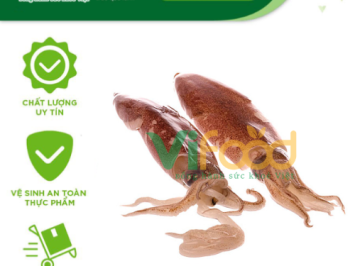 Cung Cấp Sỉ Hải Sản Tươi Sống Tại Phường Cửa Nam, Hà Nội