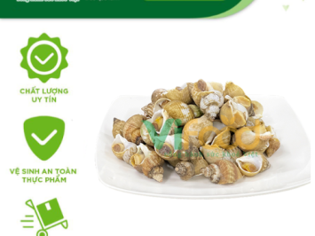 Nguồn Sỉ Hải Sản Tươi Sống Tại Phường Phú Thượng Hà Nội