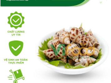 Nhà Cung Cấp Sỉ Hải Sản Đông Lạnh Phường Bạch Mai – Hà Nội